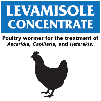 Levamsiole Concentrate Thumb