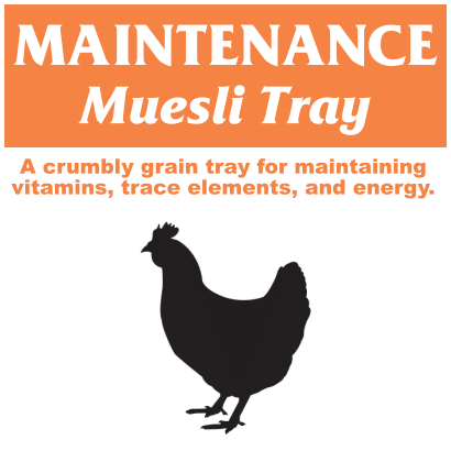 Maintenance Muesli Tray Thumb