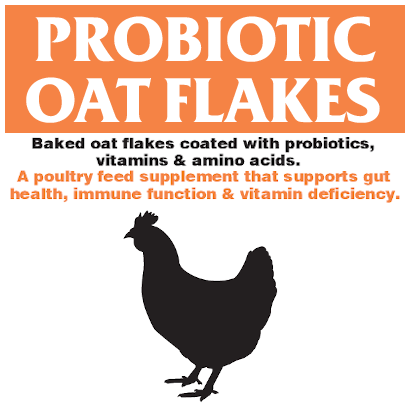 Probiotic Oat Flakes Thumb