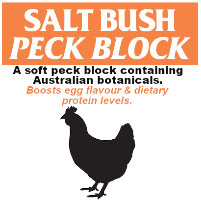 Salt Bush Peck Block Thumb