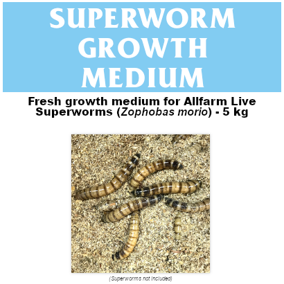 Superworm Growth Medium Thumb