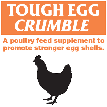 Tough Egg Crumble Thumb